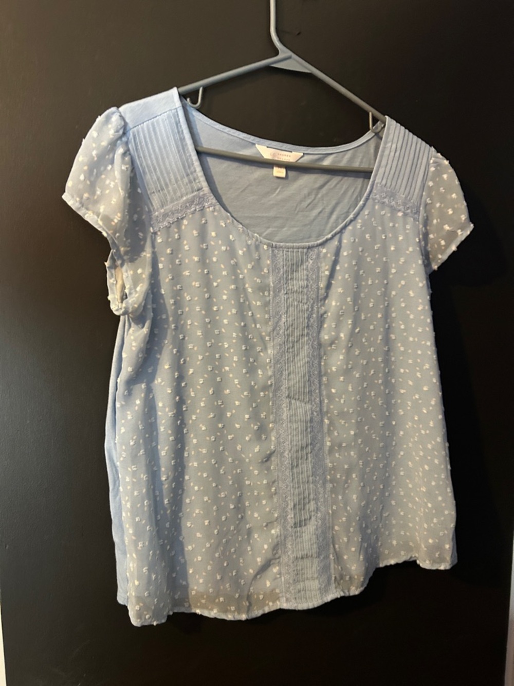 Lauren Ralph Lauren Light Blue Swiss Dot Pintuck Blouse